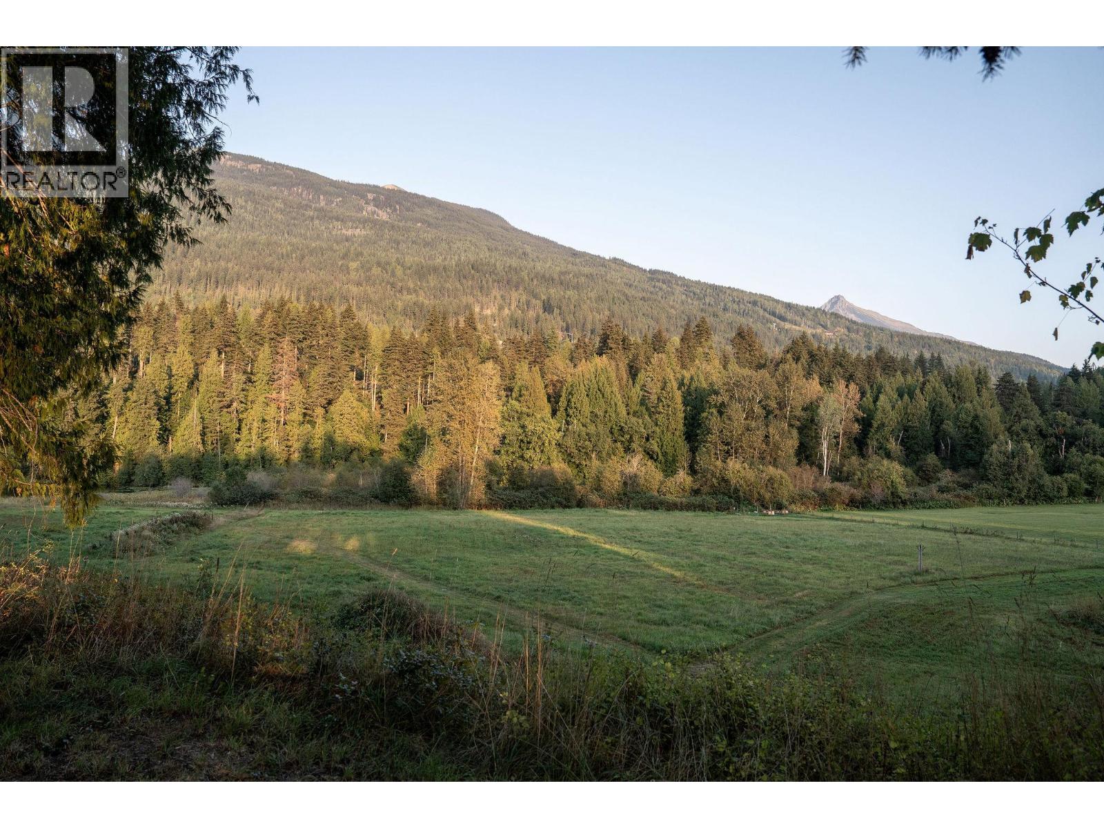 2626 Airport Way, Revelstoke, British Columbia  V0E 2S3 - Photo 62 - 10362336