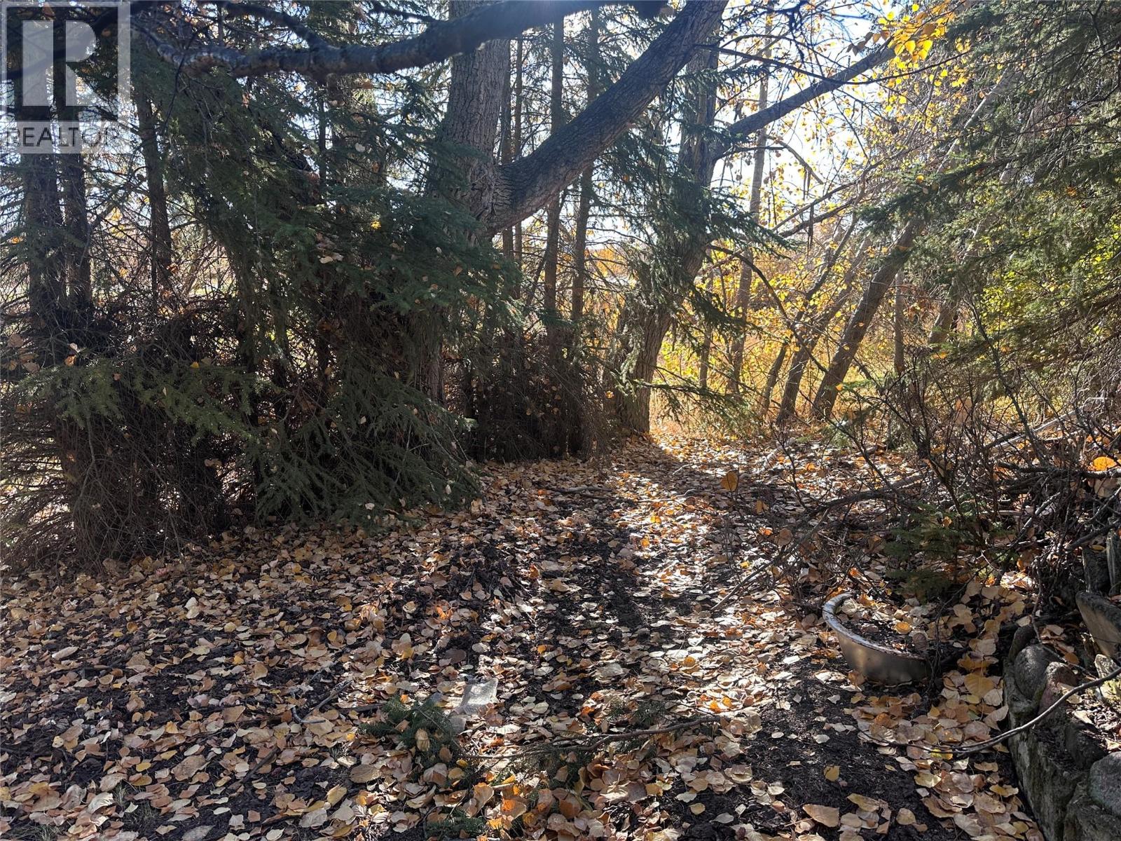 15410 Tomslake Drive, Dawson Creek, British Columbia  V0C 2L0 - Photo 12 - 10365629