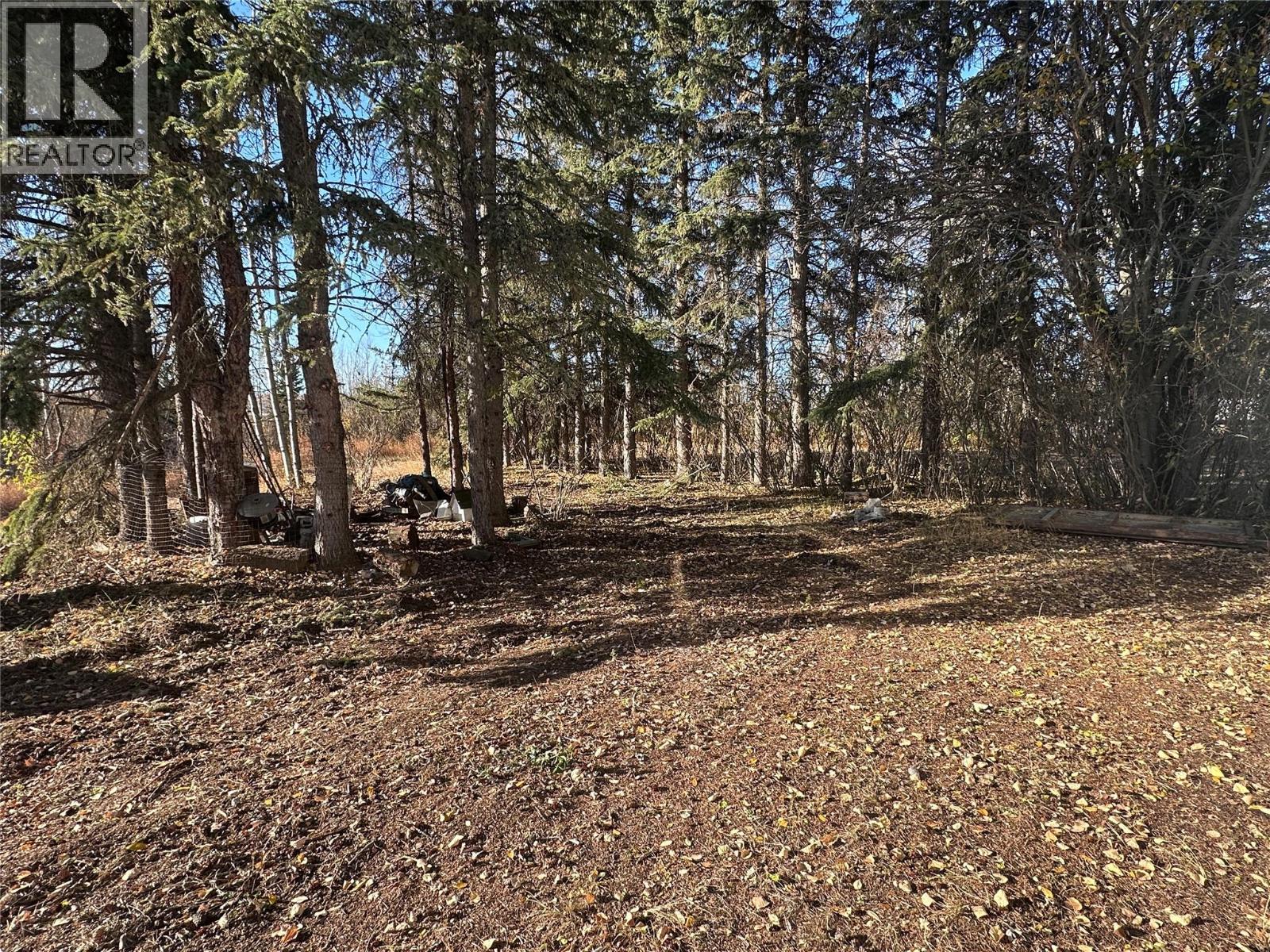 15410 Tomslake Drive, Dawson Creek, British Columbia  V0C 2L0 - Photo 5 - 10365629