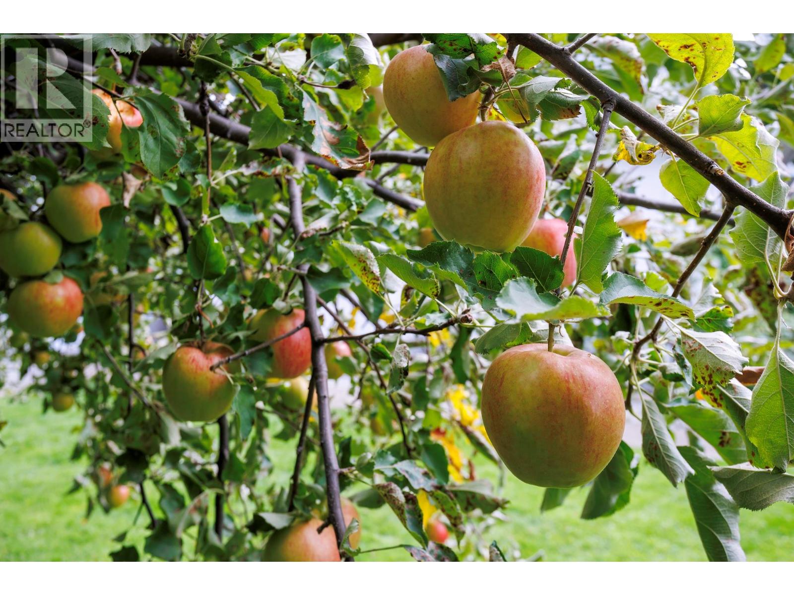 11310 Bond Road, Lake Country, British Columbia  V4V 1J5 - Photo 42 - 10364327