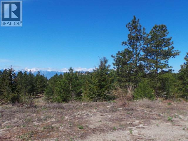 710 Peregrine Drive, Osoyoos, British Columbia  V0H 1V6 - Photo 3 - 10365758