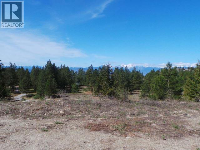 710 Peregrine Drive, Osoyoos, British Columbia  V0H 1V6 - Photo 4 - 10365758