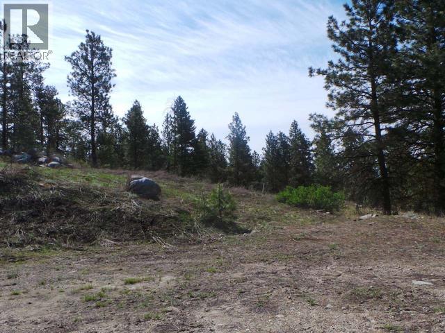 710 Peregrine Drive, Osoyoos, British Columbia  V0H 1V6 - Photo 5 - 10365758