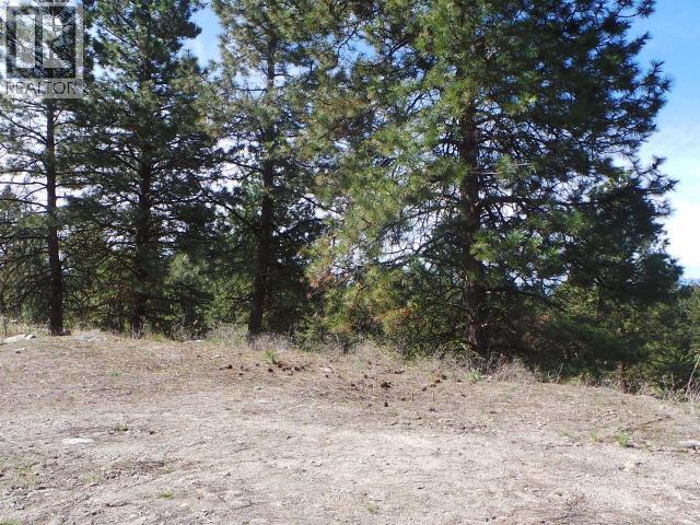 710 Peregrine Drive, Osoyoos, British Columbia  V0H 1V6 - Photo 6 - 10365758