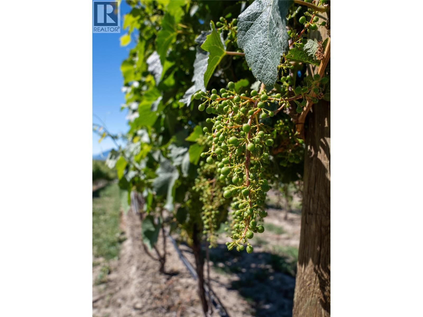 2805 Aikins Loop, Naramata, British Columbia  V0H 1N1 - Photo 93 - 10365338