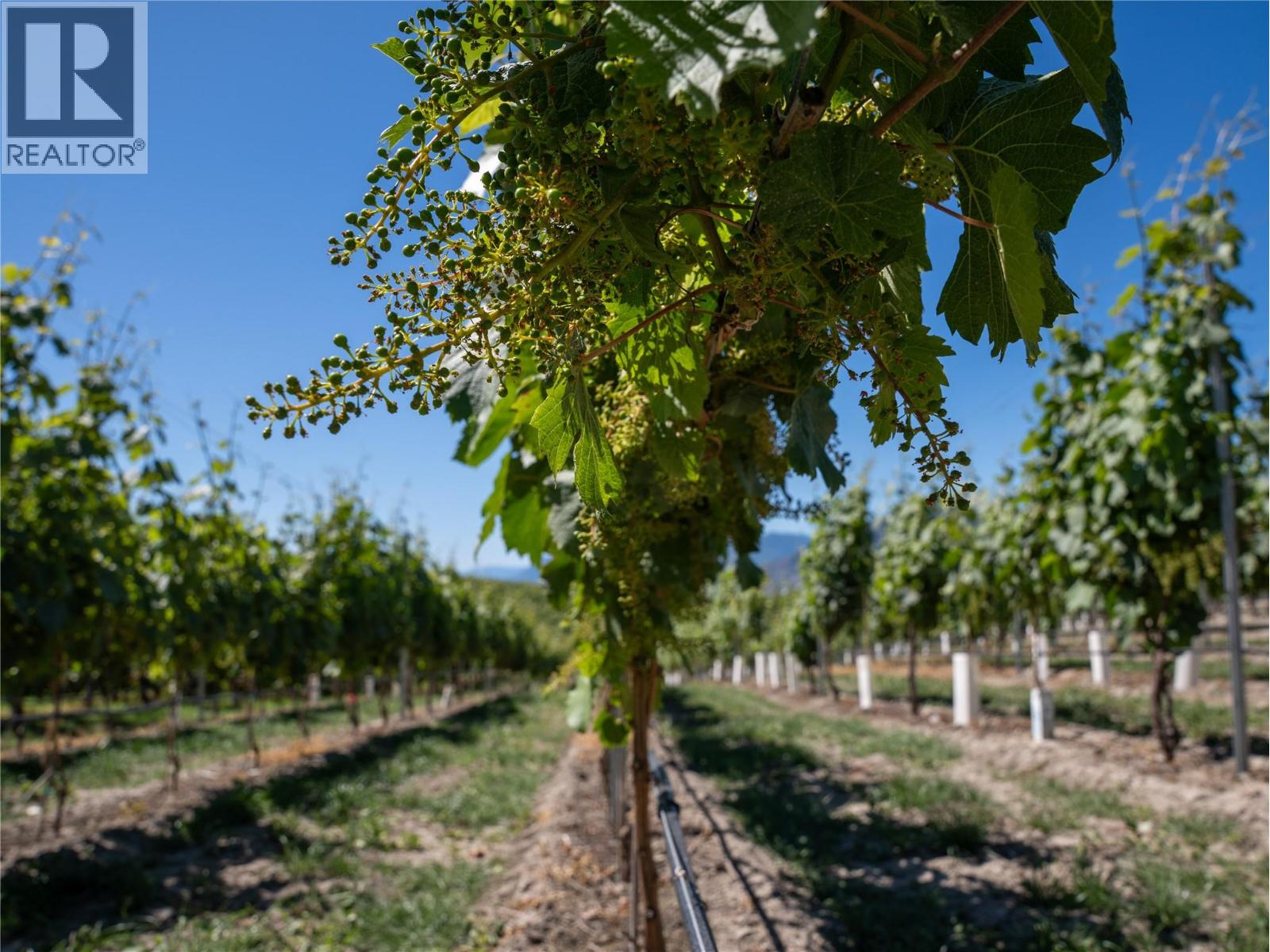 2805 Aikins Loop, Naramata, British Columbia  V0H 1N1 - Photo 95 - 10365338