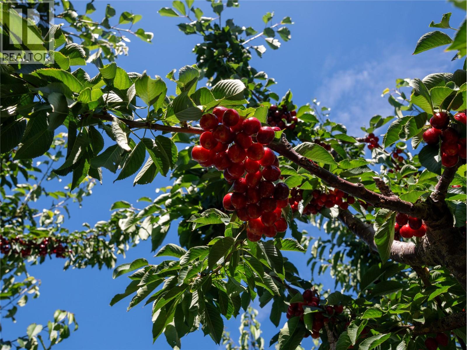 2805 Aikins Loop, Naramata, British Columbia  V0H 1N1 - Photo 96 - 10365338