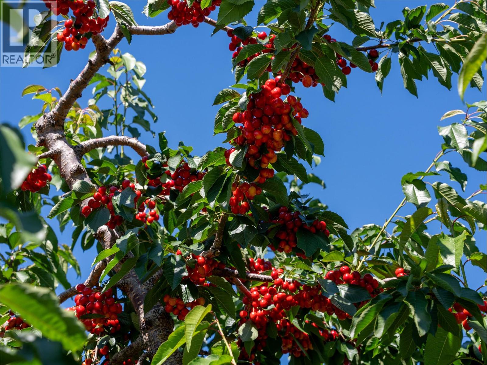 2805 Aikins Loop, Naramata, British Columbia  V0H 1N1 - Photo 90 - 10365334