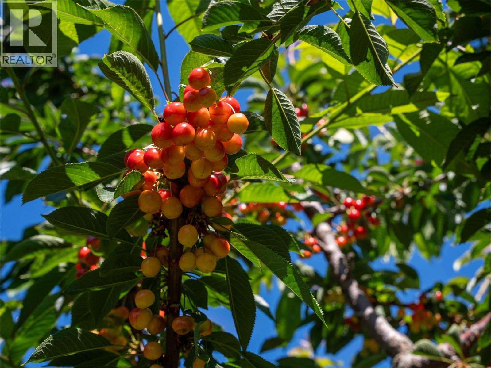 2805 Aikins Loop, Naramata, British Columbia  V0H 1N1 - Photo 91 - 10365334