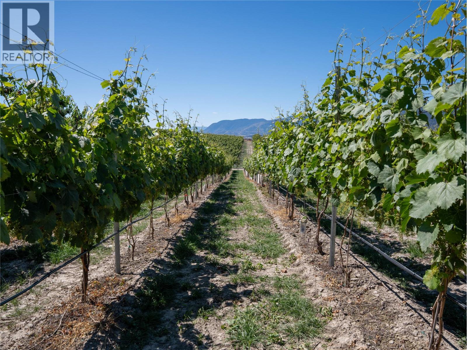 2805 Aikins Loop, Naramata, British Columbia  V0H 1N1 - Photo 93 - 10365334