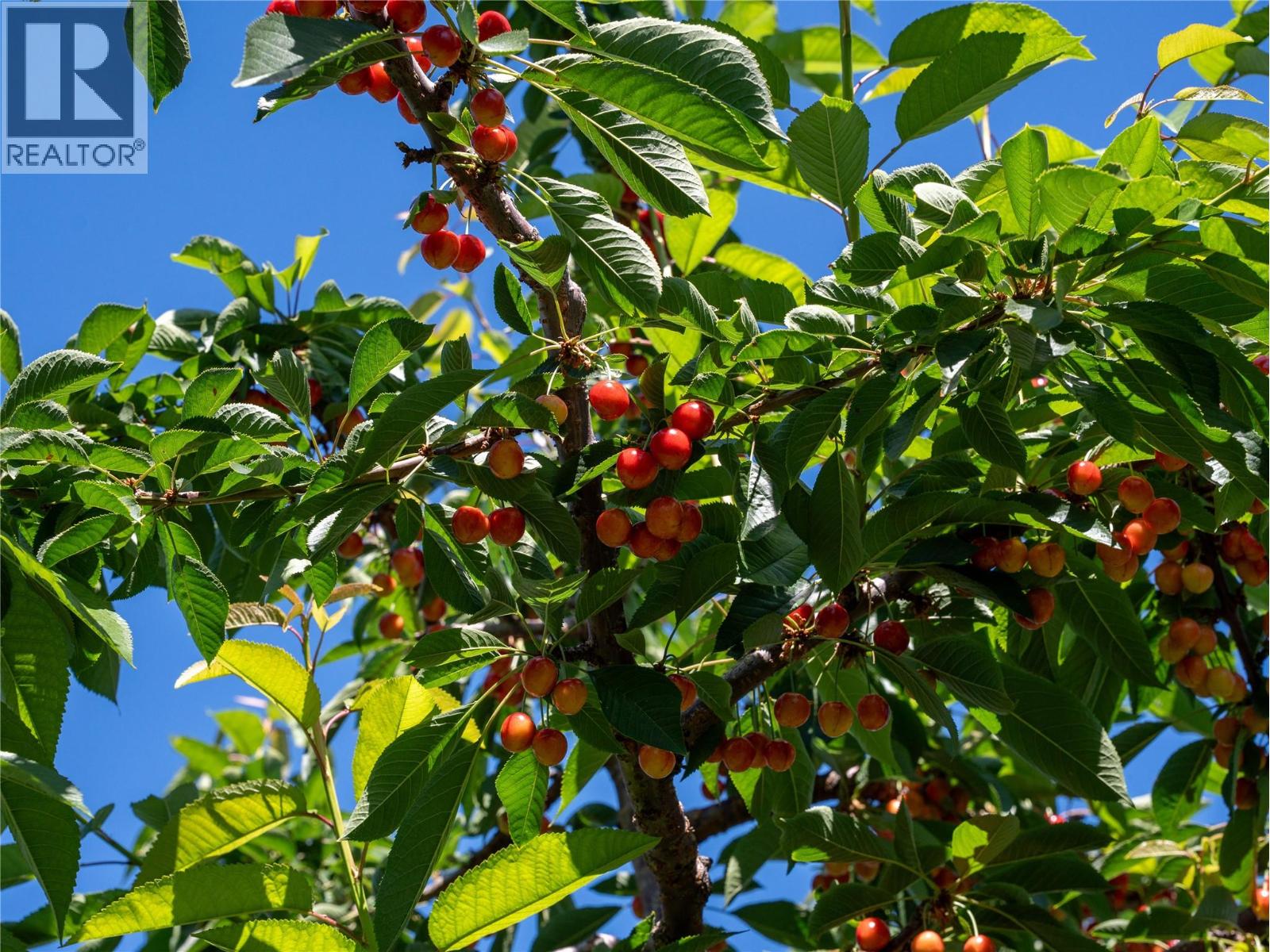 2805 Aikins Loop, Naramata, British Columbia  V0H 1N1 - Photo 96 - 10365334