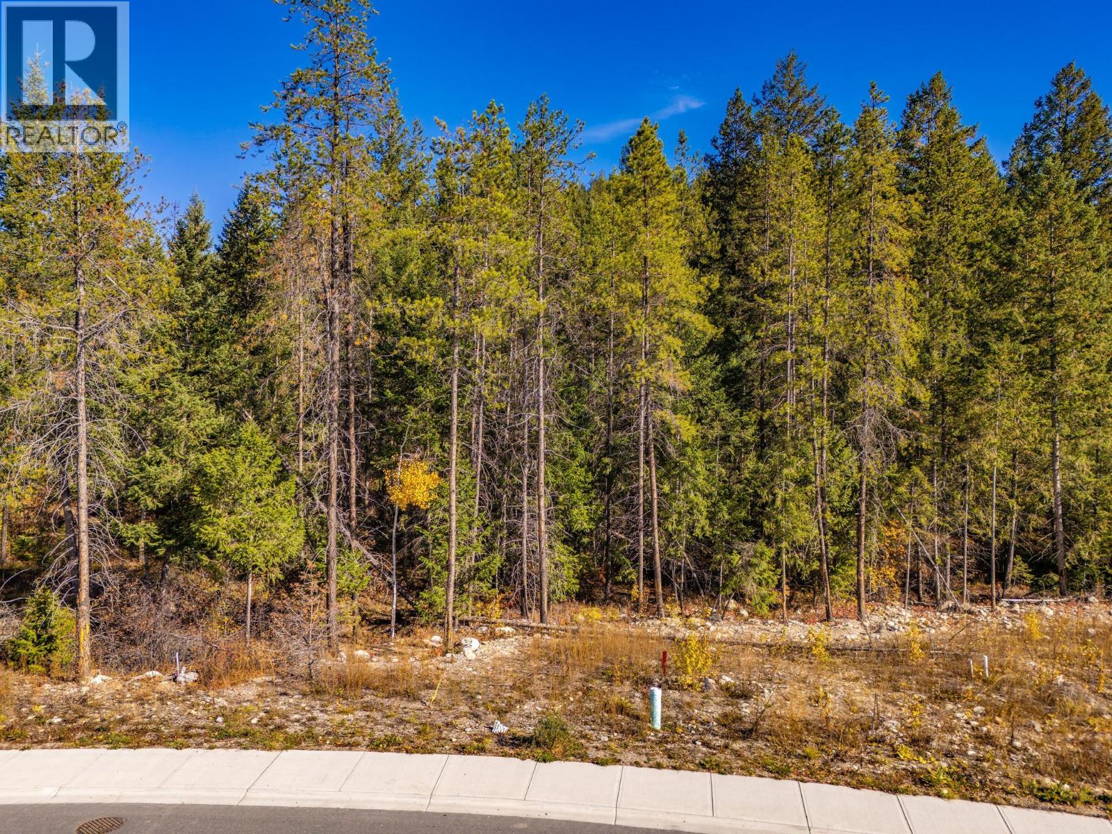 1541 Cedar Street, Golden, British Columbia  V0A 1H0 - Photo 4 - 10365822