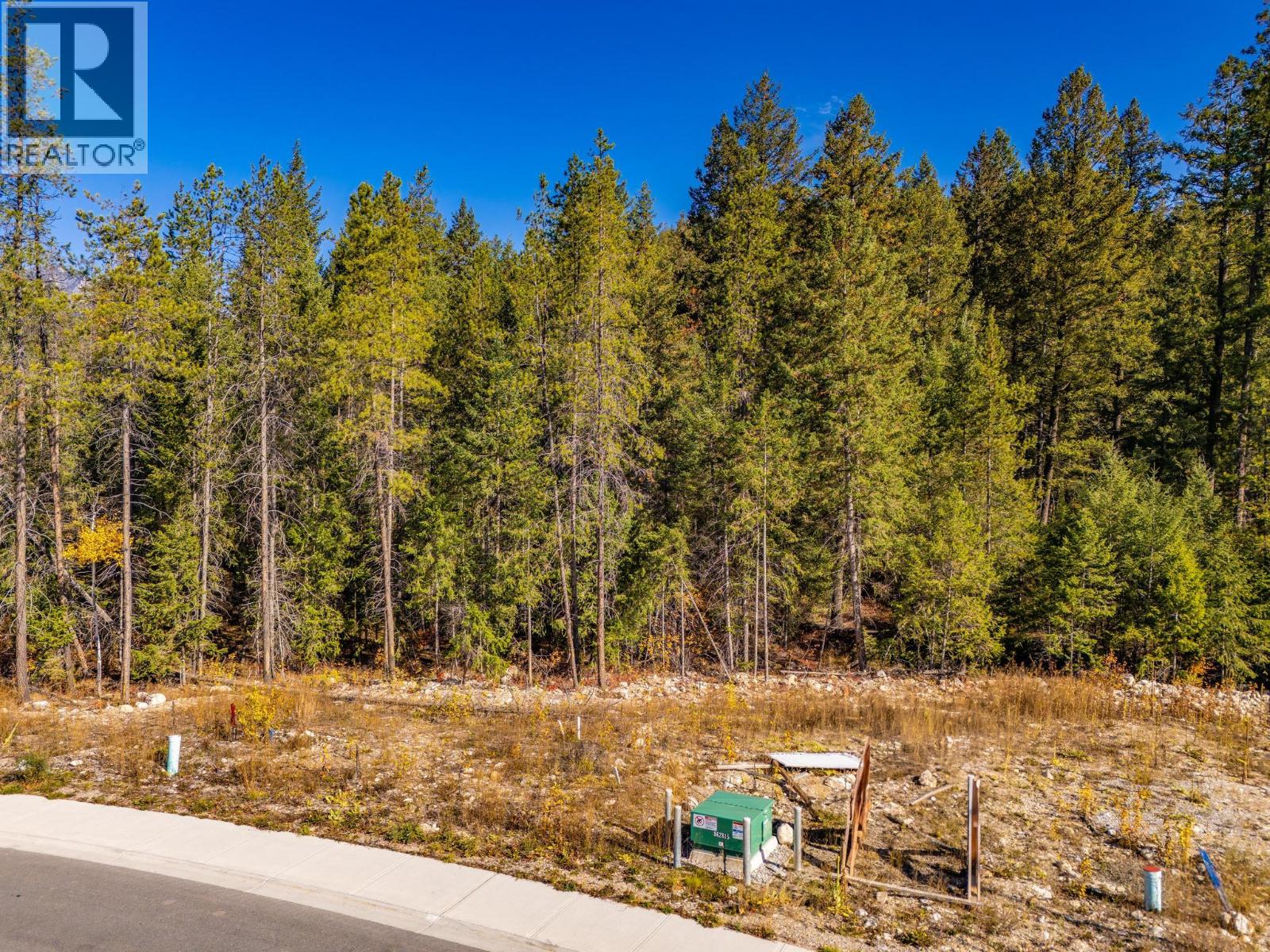 1541 Cedar Street, Golden, British Columbia  V0A 1H0 - Photo 5 - 10365822