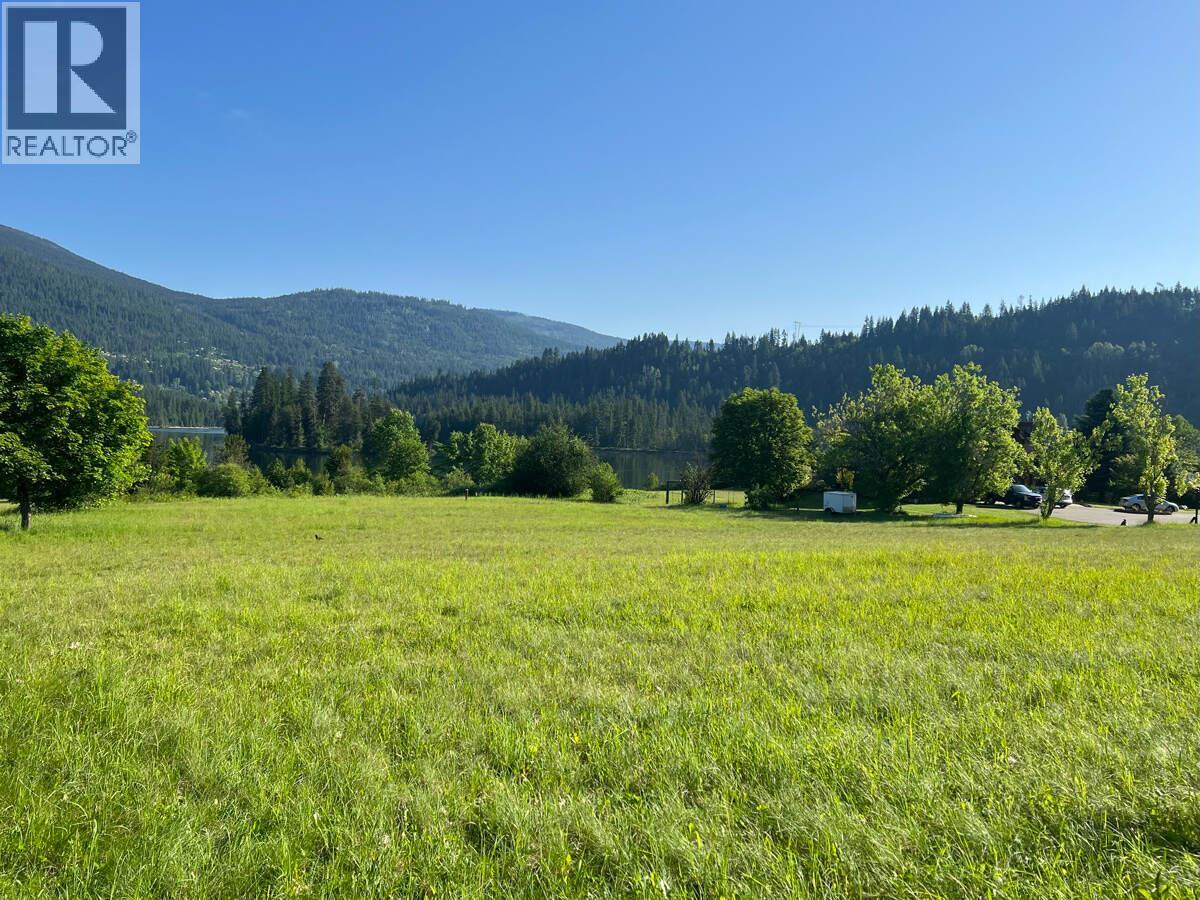 2719 Davidson Road, Shoreacres, British Columbia  V1N 4P9 - Photo 43 - 10365912