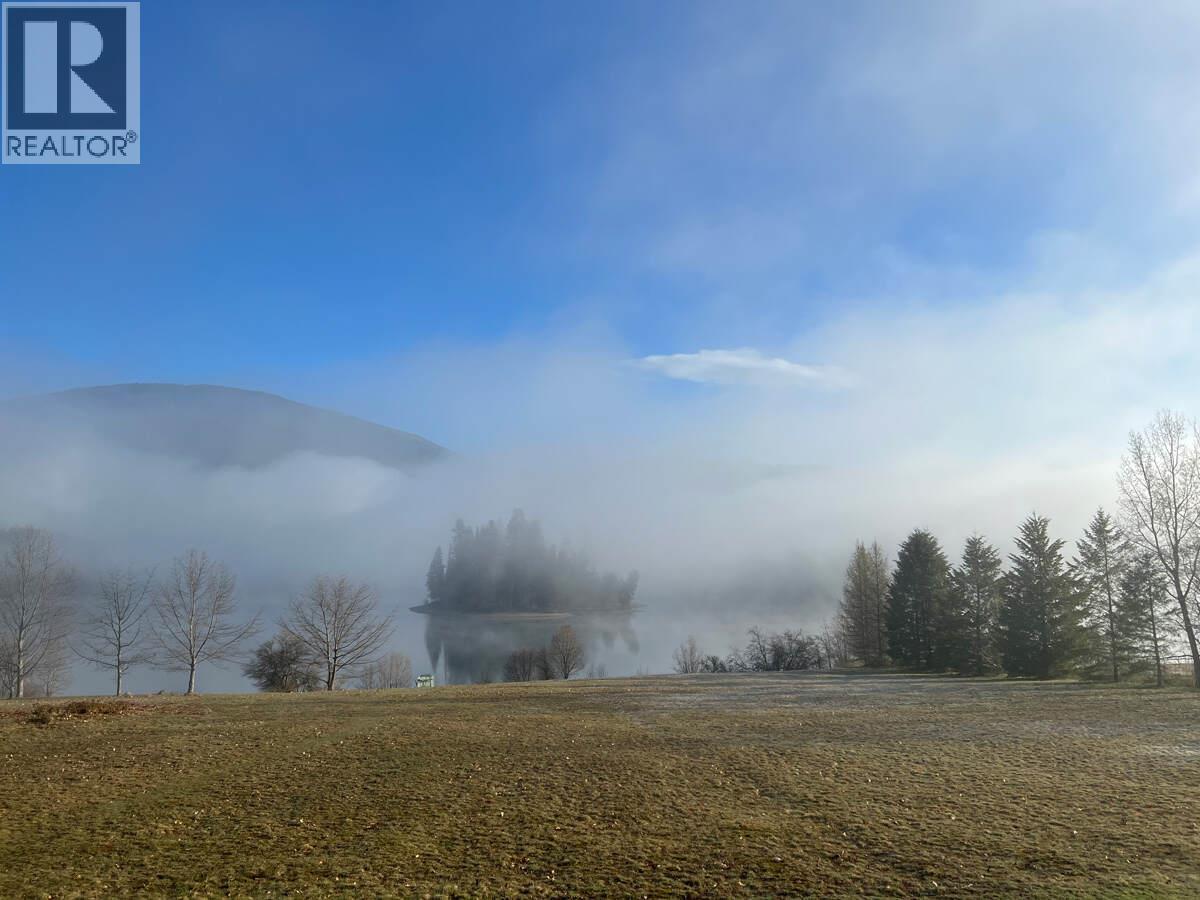 2719 Davidson Road, Shoreacres, British Columbia  V1N 4P9 - Photo 45 - 10365912