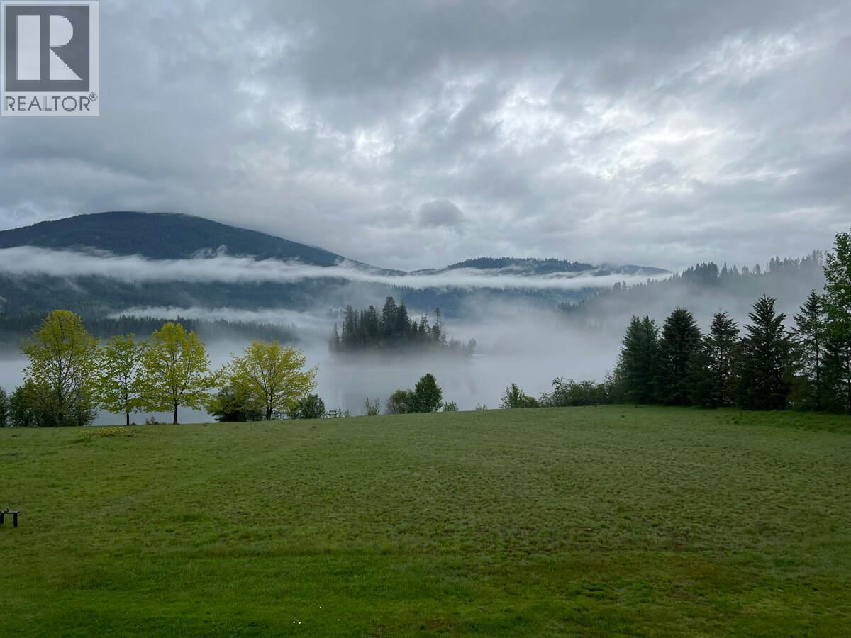 2719 Davidson Road, Shoreacres, British Columbia  V1N 4P9 - Photo 46 - 10365912