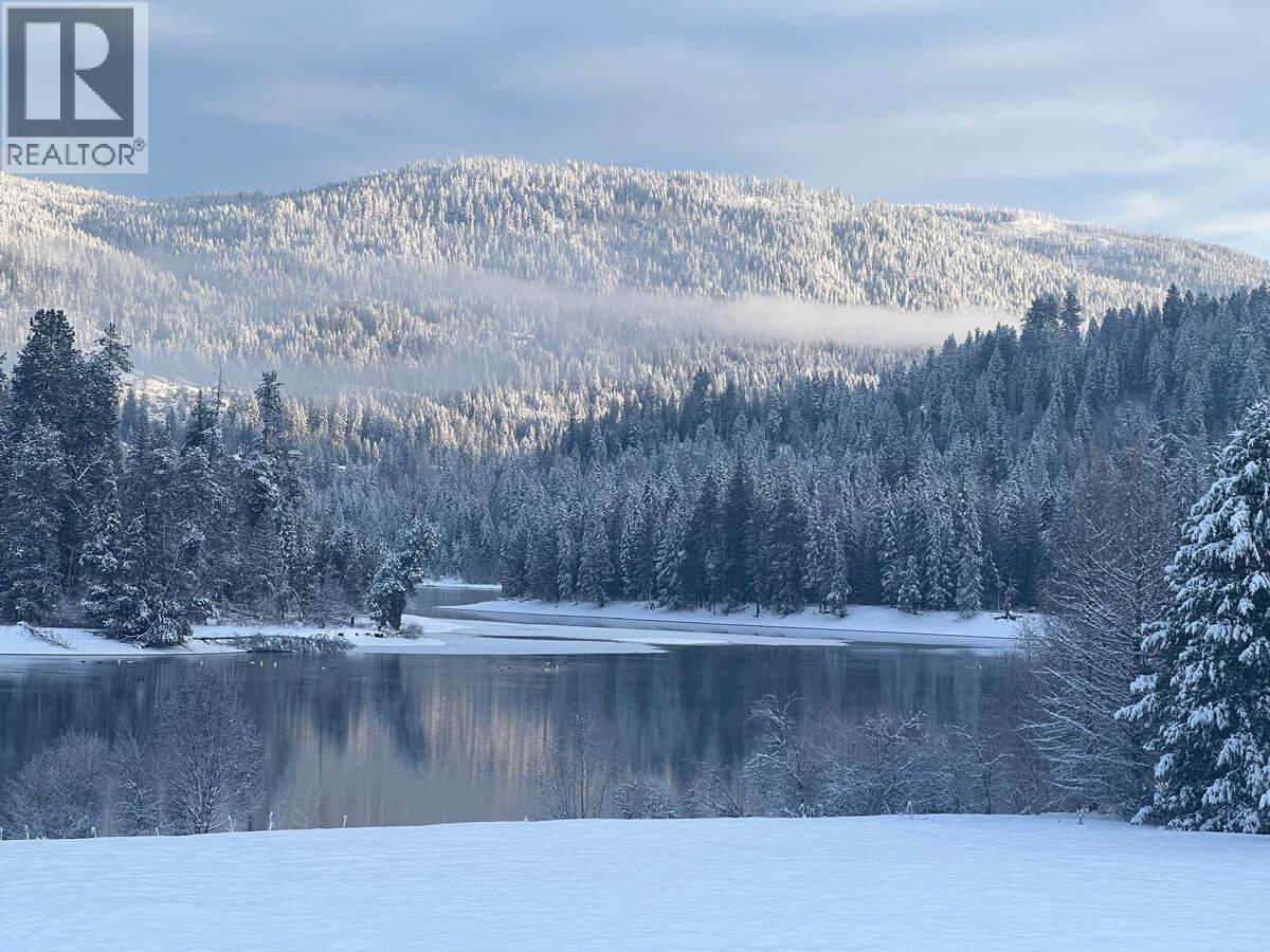 2719 Davidson Road, Shoreacres, British Columbia  V1N 4P9 - Photo 47 - 10365912