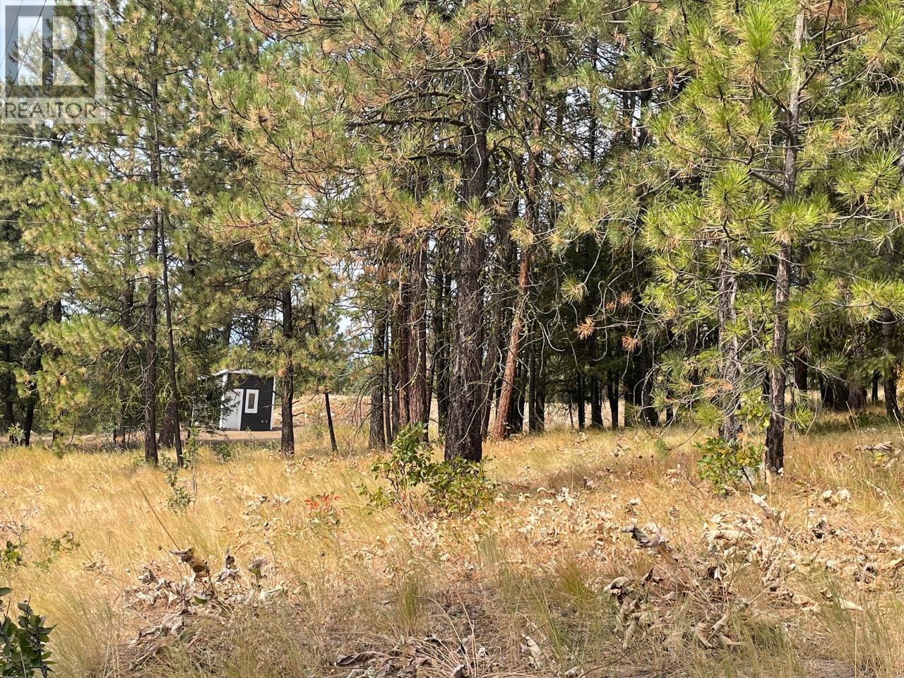 100 Cougar Court, Osoyoos, British Columbia  V0H 1V6 - Photo 11 - 10365901