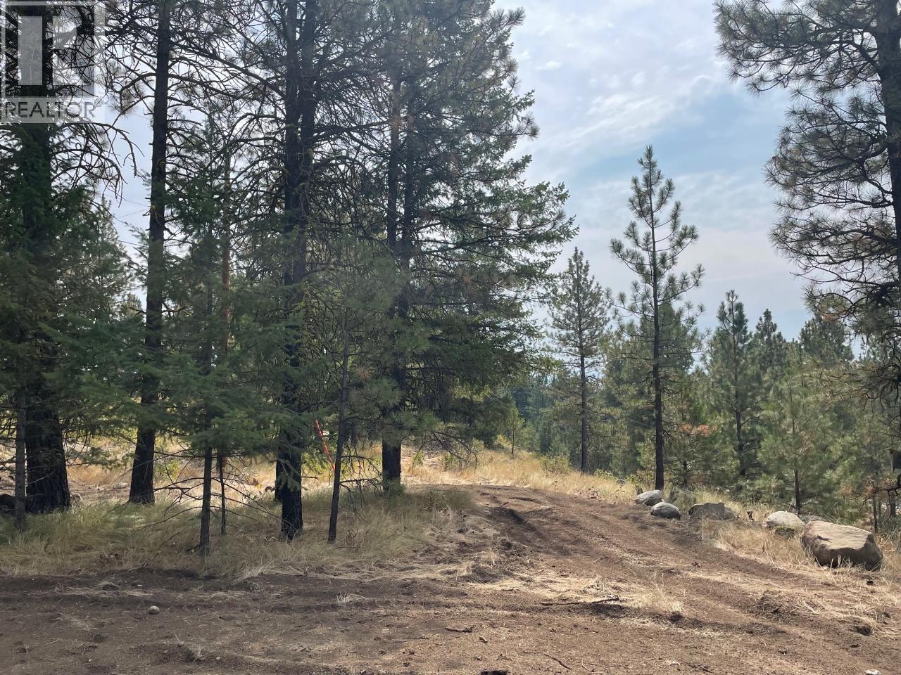 100 Cougar Court, Osoyoos, British Columbia  V0H 1V6 - Photo 7 - 10365901