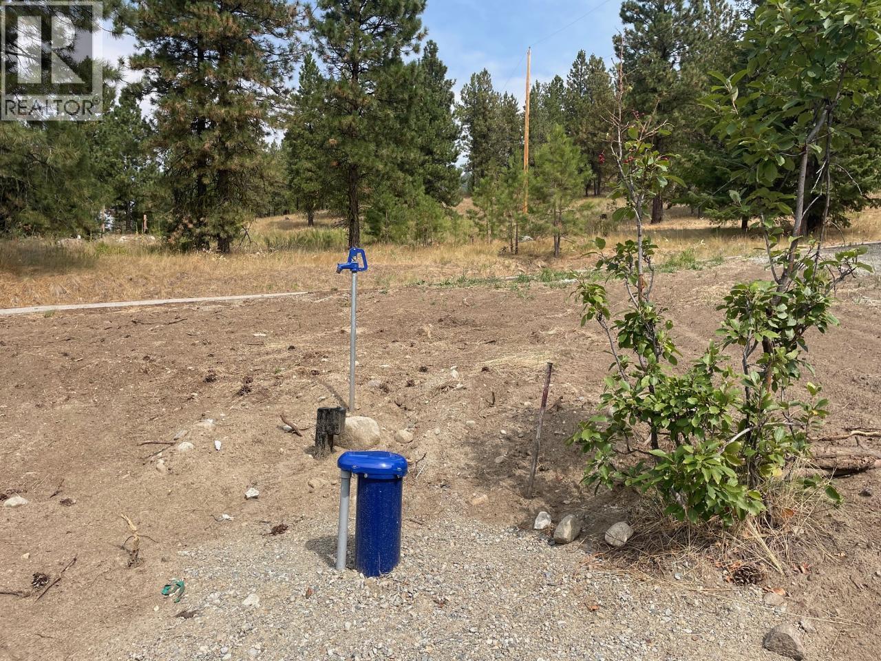 100 Cougar Court, Osoyoos, British Columbia  V0H 1V6 - Photo 9 - 10365901