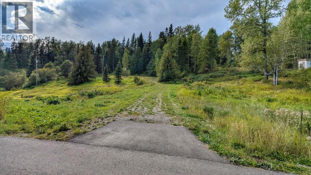 2107 Highway 3 S, Fernie, British Columbia  V0B 1M1 - Photo 14 - 10365976