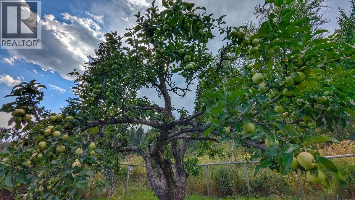 2107 Highway 3 S, Fernie, British Columbia  V0B 1M1 - Photo 6 - 10365976