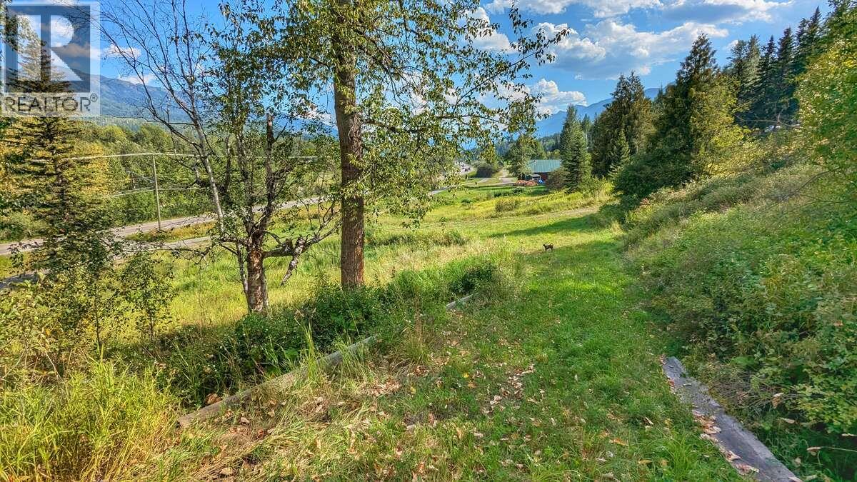 2107 Highway 3 S, Fernie, British Columbia  V0B 1M1 - Photo 7 - 10365976