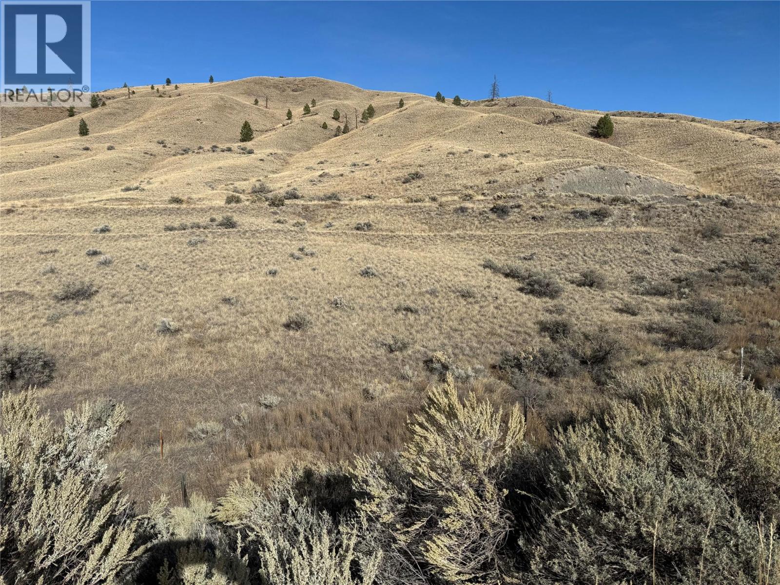 6781 Ashcroft Road, Kamloops, British Columbia  V0K 2J0 - Photo 3 - 10365897