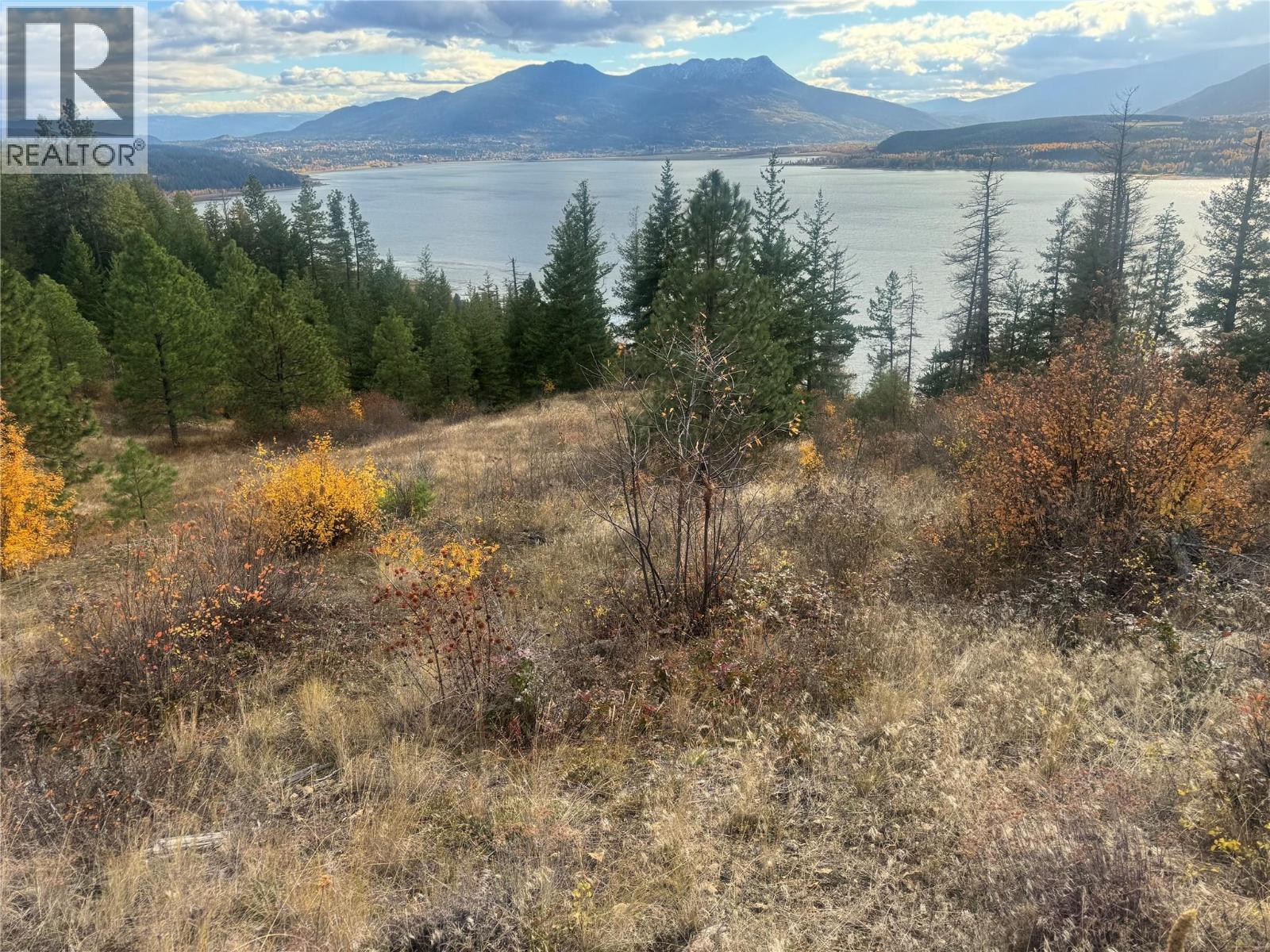 470 Sumac Road, Tappen, British Columbia  V0E 2X1 - Photo 1 - 10364788