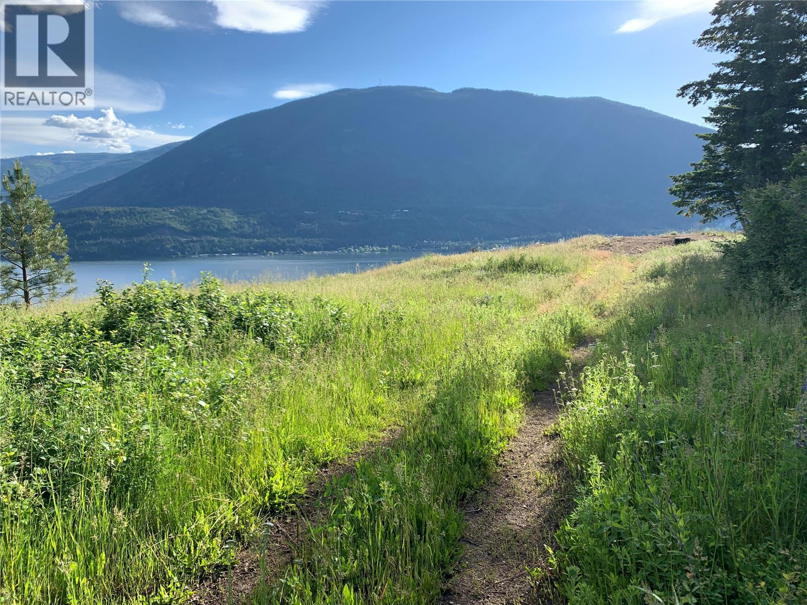 470 Sumac Road, Tappen, British Columbia  V0E 2X1 - Photo 12 - 10364788