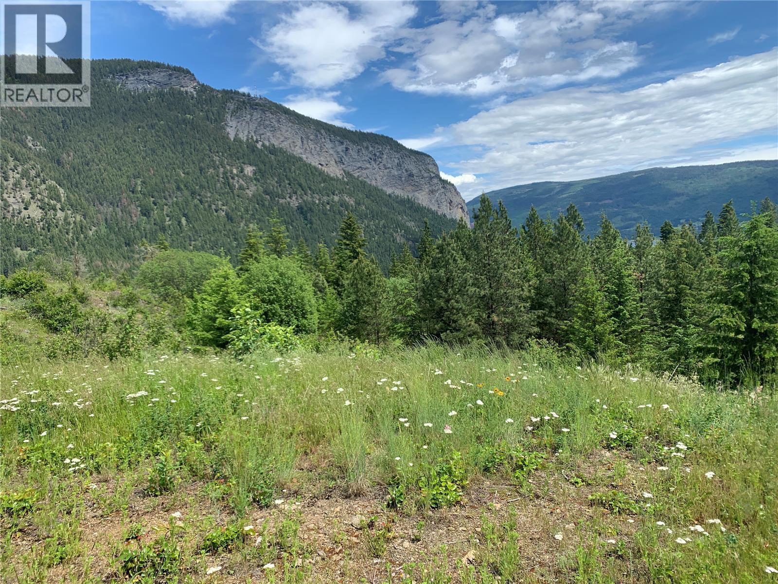 470 Sumac Road, Tappen, British Columbia  V0E 2X1 - Photo 13 - 10364788