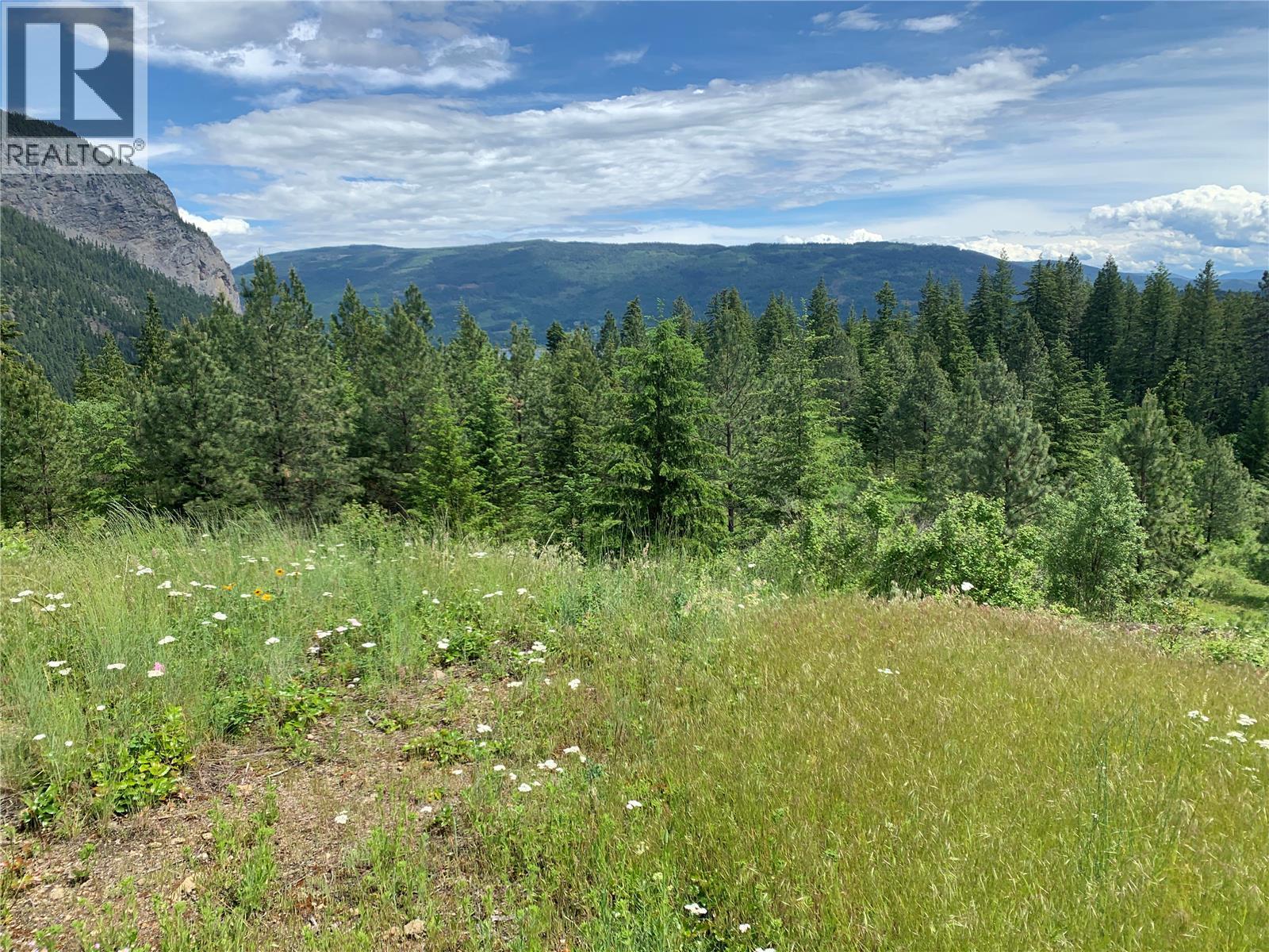 470 Sumac Road, Tappen, British Columbia  V0E 2X1 - Photo 14 - 10364788