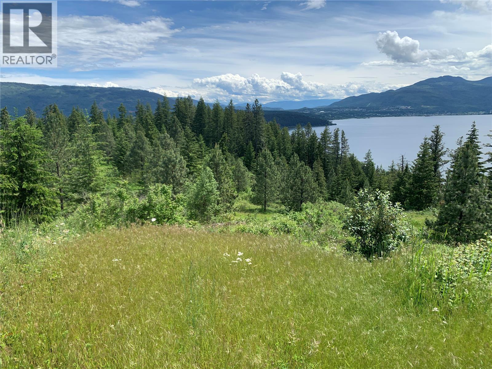 470 Sumac Road, Tappen, British Columbia  V0E 2X1 - Photo 15 - 10364788