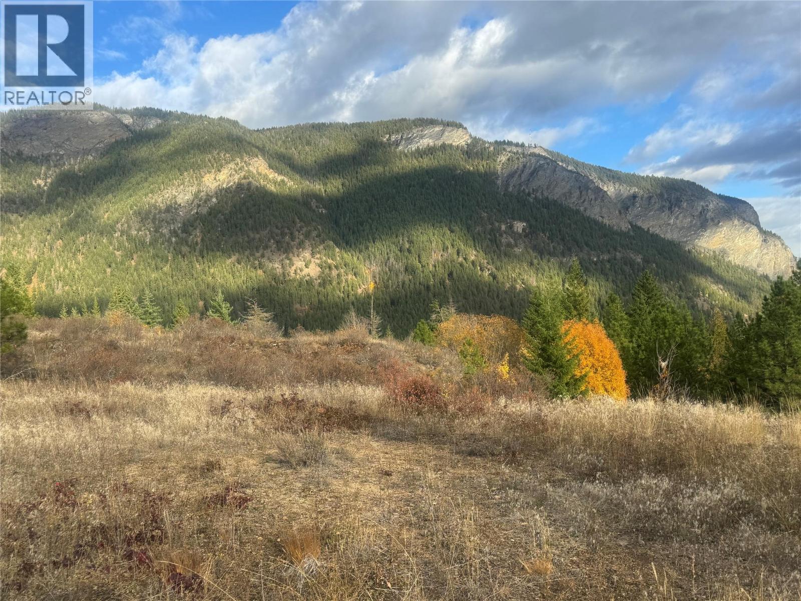 470 Sumac Road, Tappen, British Columbia  V0E 2X1 - Photo 2 - 10364788