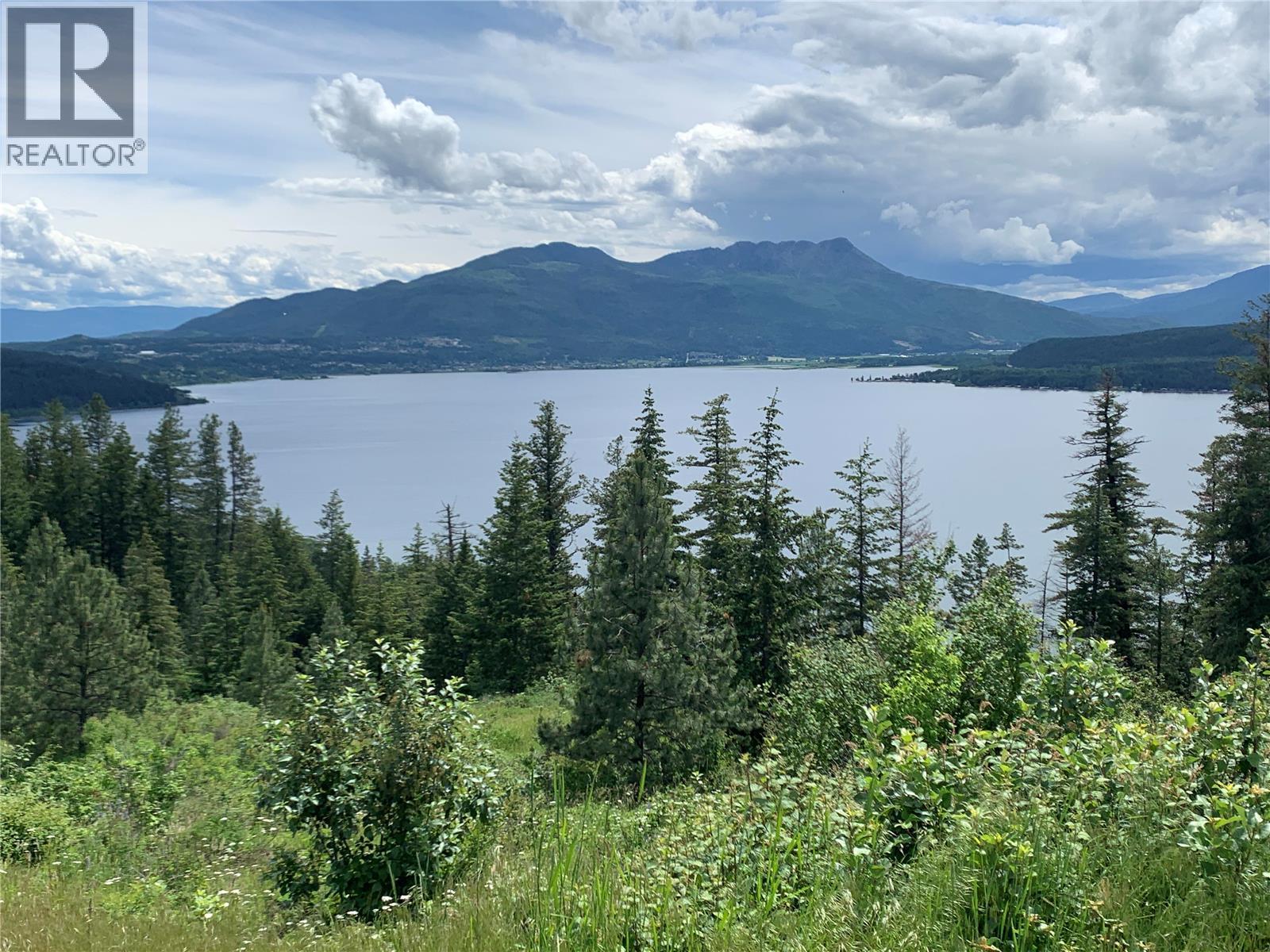 470 Sumac Road, Tappen, British Columbia  V0E 2X1 - Photo 3 - 10364788