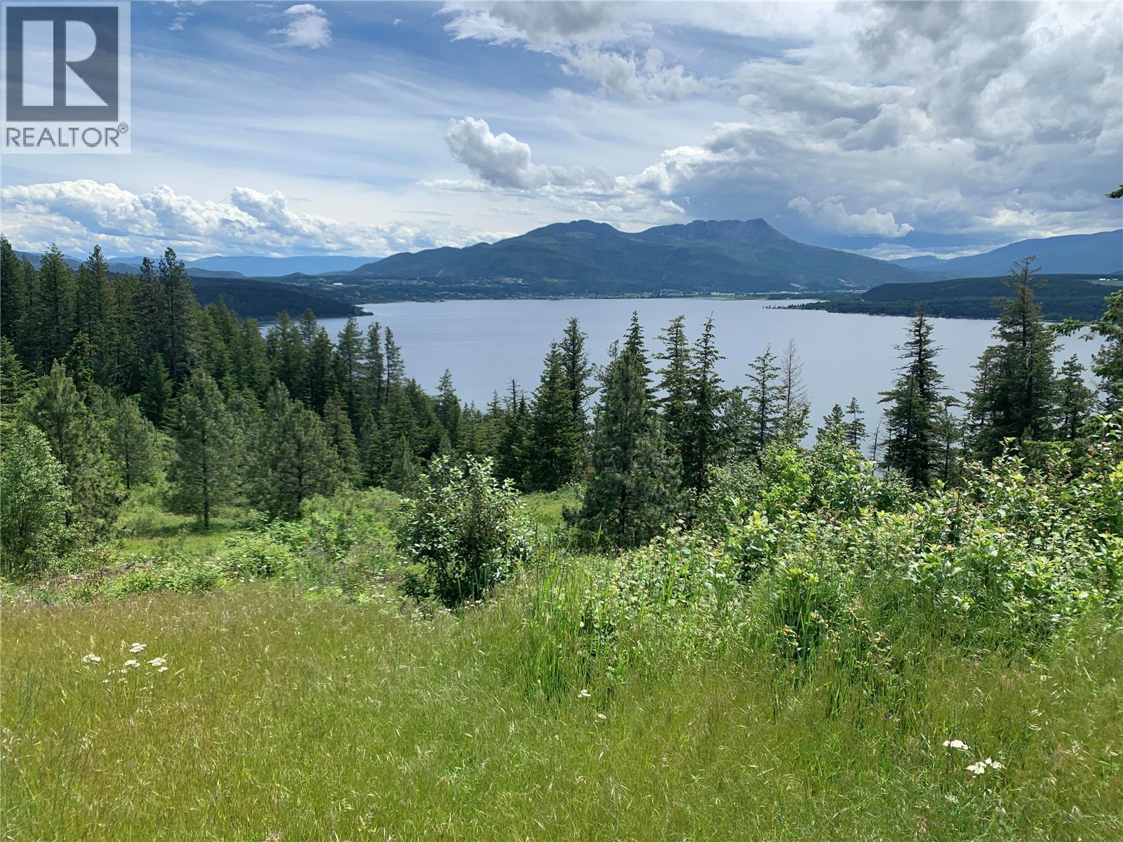 470 Sumac Road, Tappen, British Columbia  V0E 2X1 - Photo 4 - 10364788