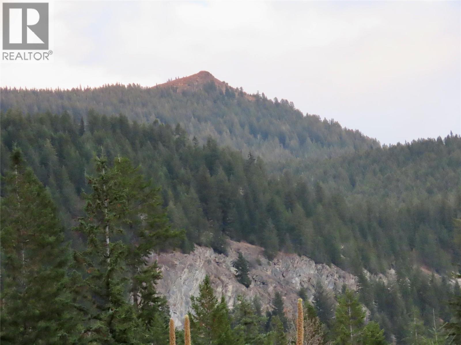 470 Reflection Lake Road Lot# 46, Golden, British Columbia  V0A 1H6 - Photo 43 - 10366198