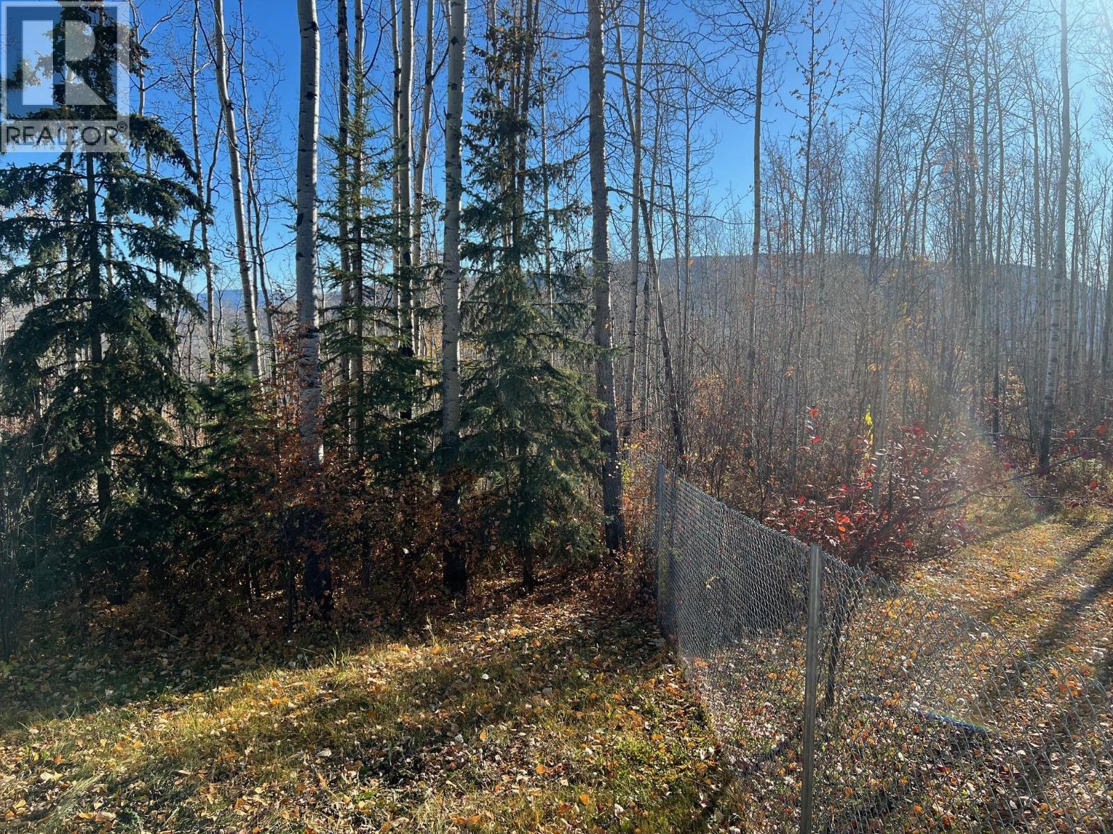 6016 Westall Subdivision, Chetwynd, British Columbia  V0C 1J0 - Photo 11 - 10366174