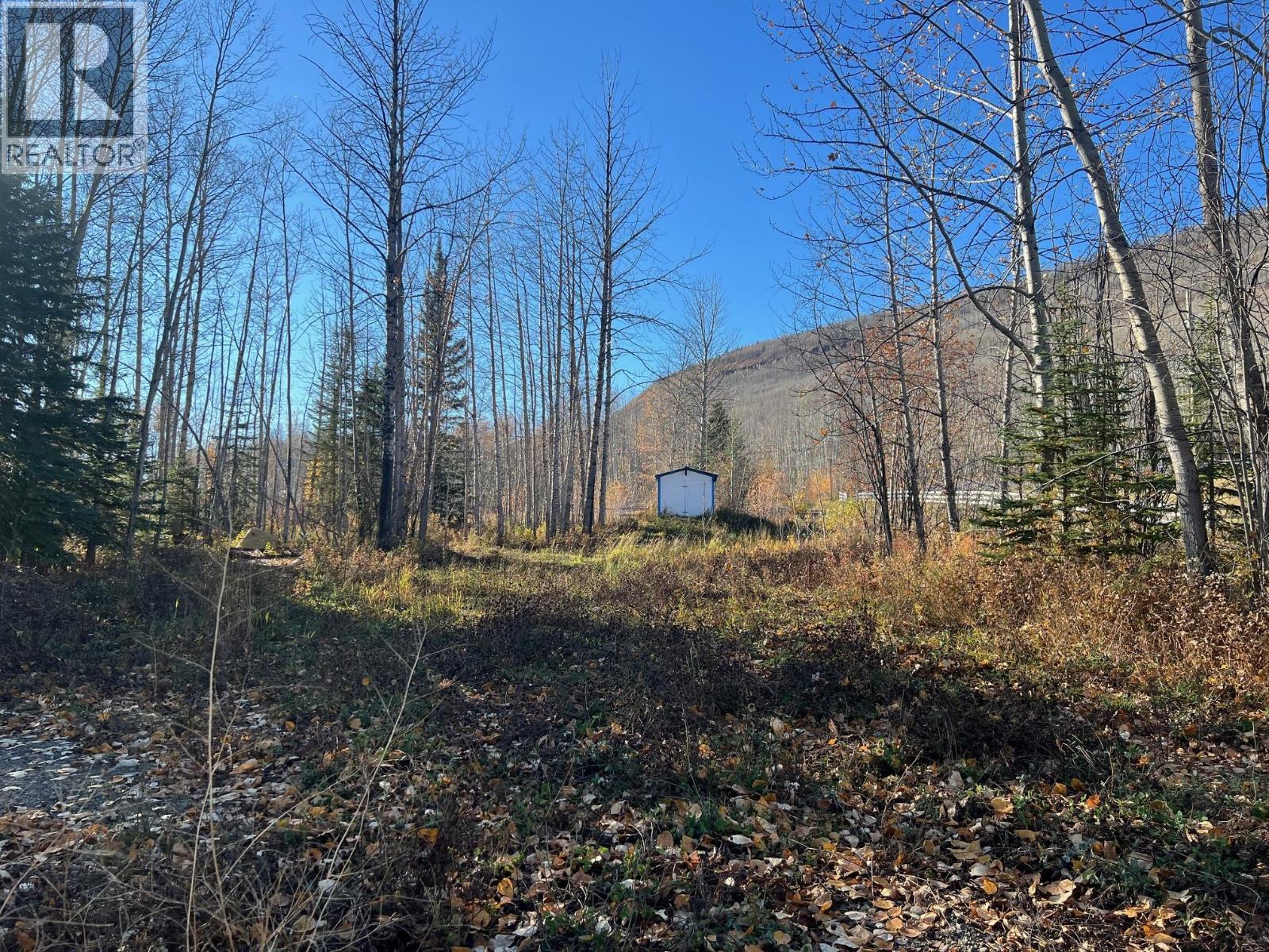 6016 Westall Subdivision, Chetwynd, British Columbia  V0C 1J0 - Photo 18 - 10366174