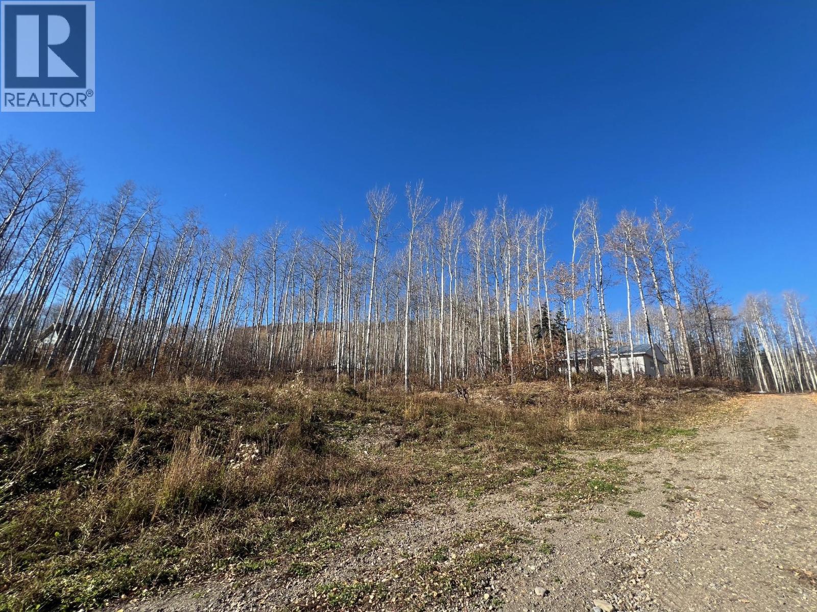 6016 Westall Subdivision, Chetwynd, British Columbia  V0C 1J0 - Photo 5 - 10366174