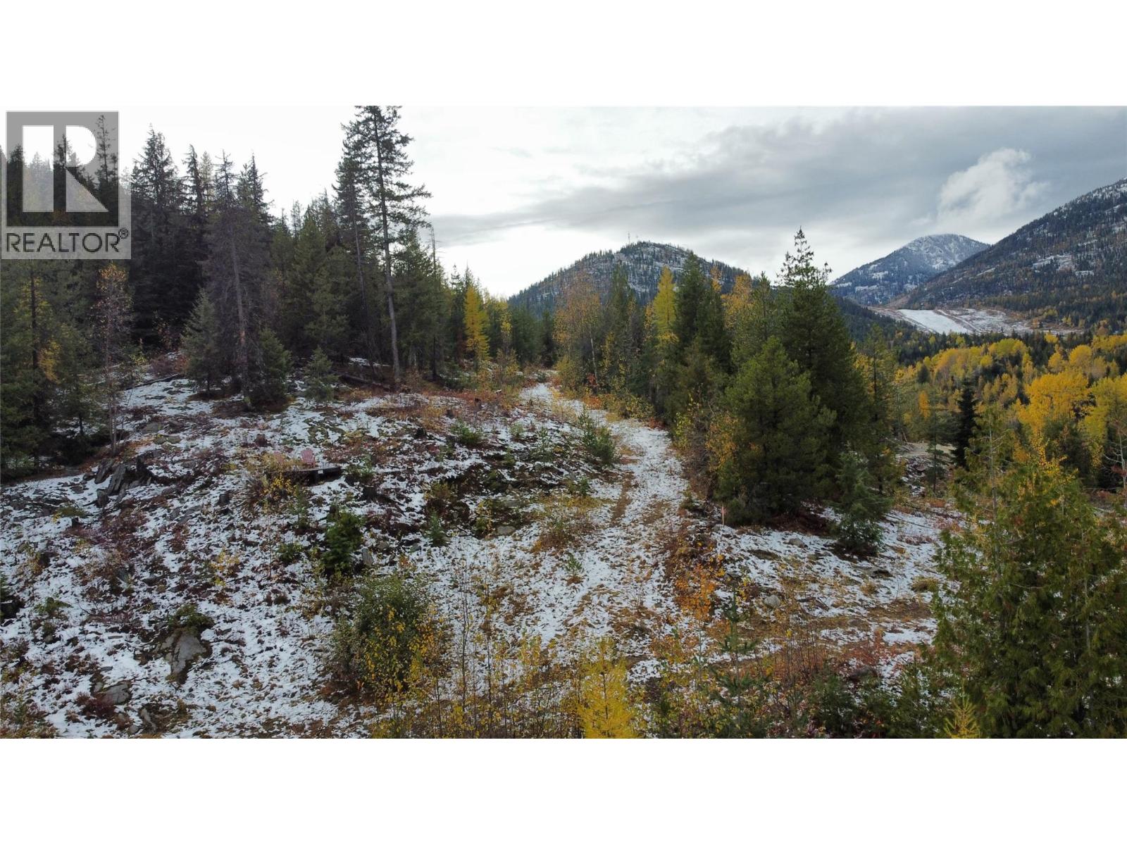 Lot C Richie Road, Rossland, British Columbia  V0G 1Y0 - Photo 10 - 10366346