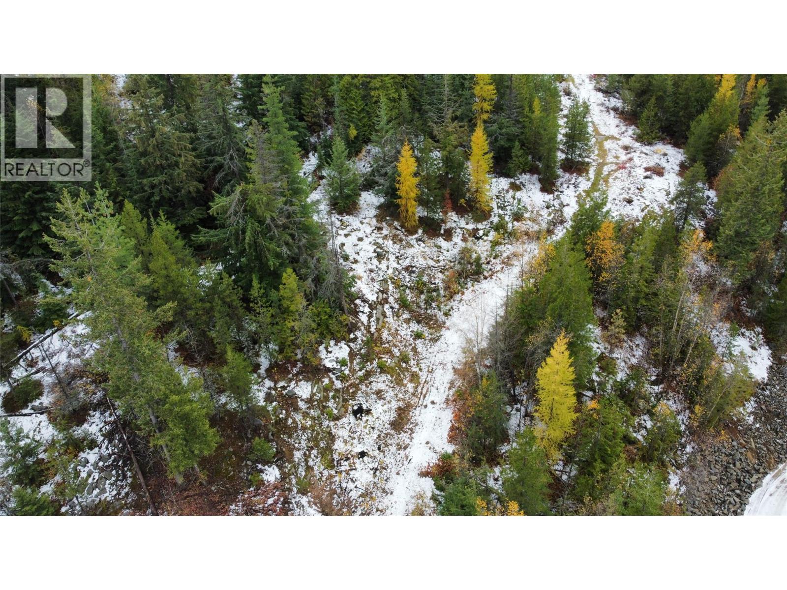 Lot C Richie Road, Rossland, British Columbia  V0G 1Y0 - Photo 26 - 10366346