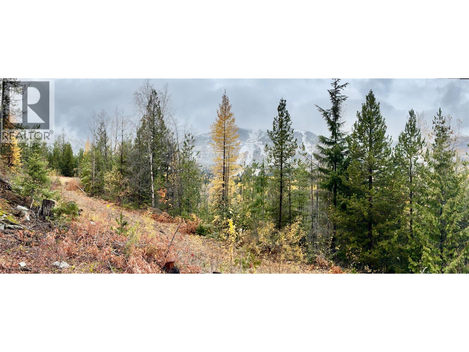 Lot C Richie Road, Rossland, British Columbia  V0G 1Y0 - Photo 3 - 10366346