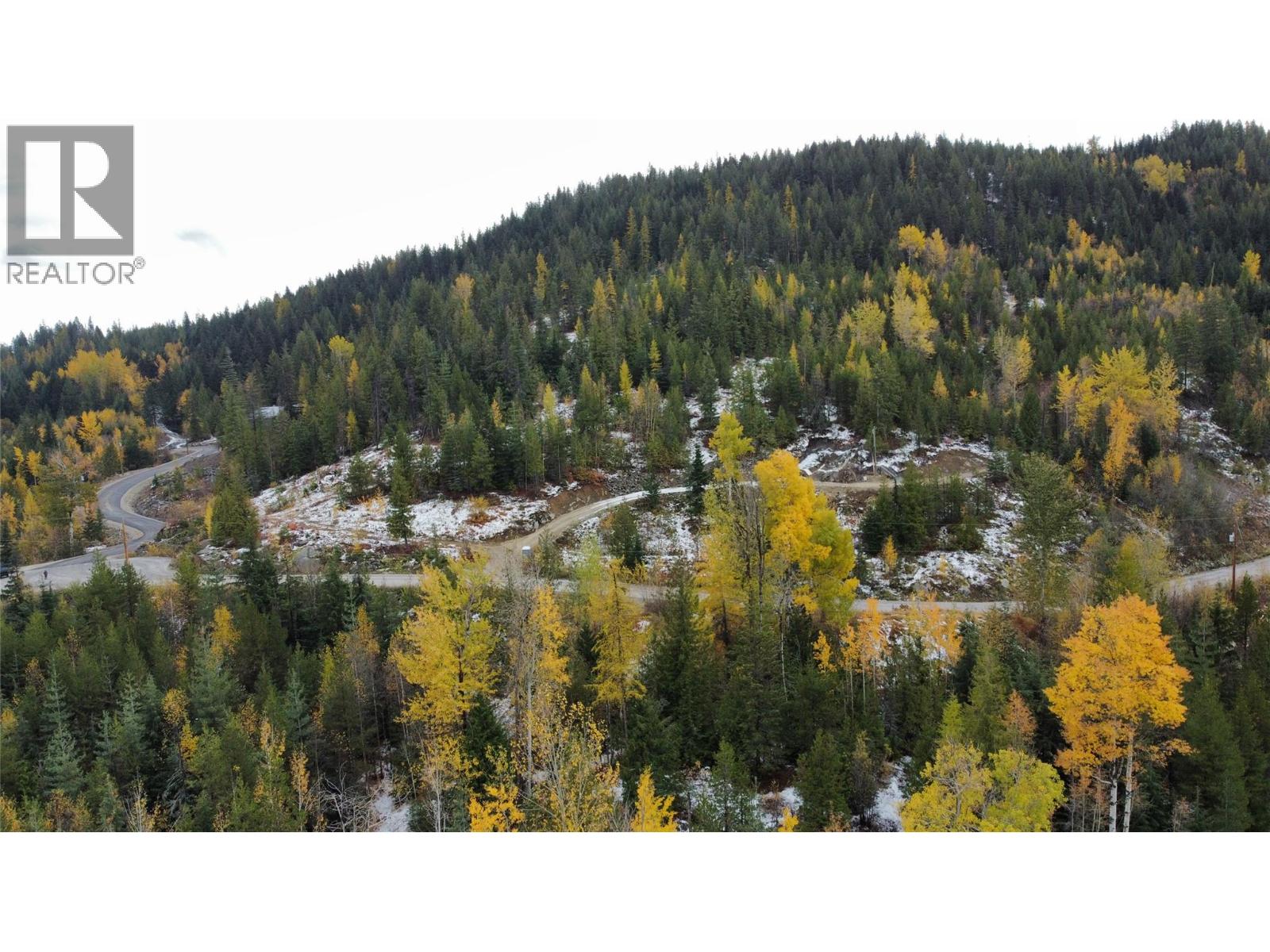 Lot C Richie Road, Rossland, British Columbia  V0G 1Y0 - Photo 31 - 10366346