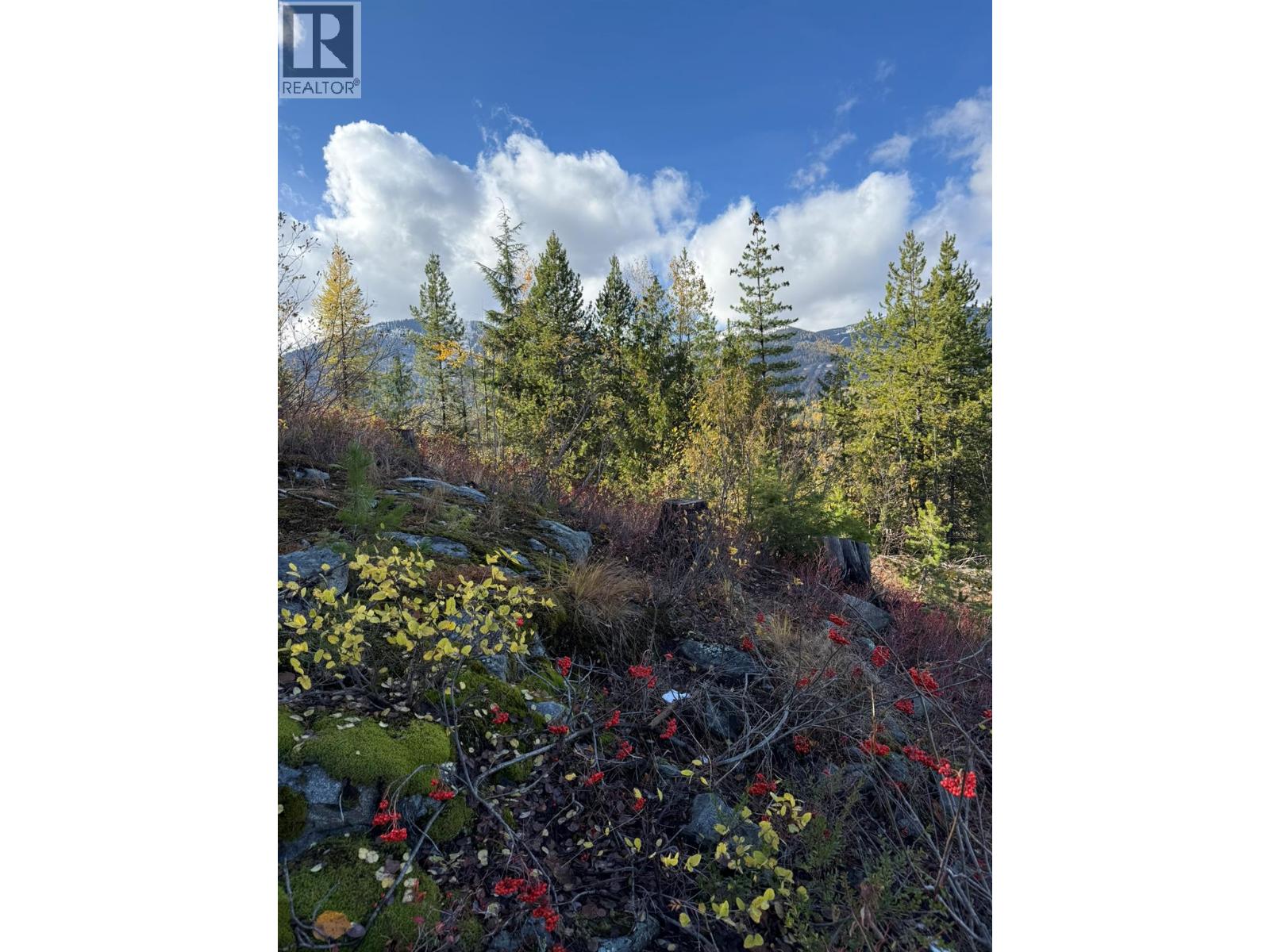 Lot C Richie Road, Rossland, British Columbia  V0G 1Y0 - Photo 34 - 10366346