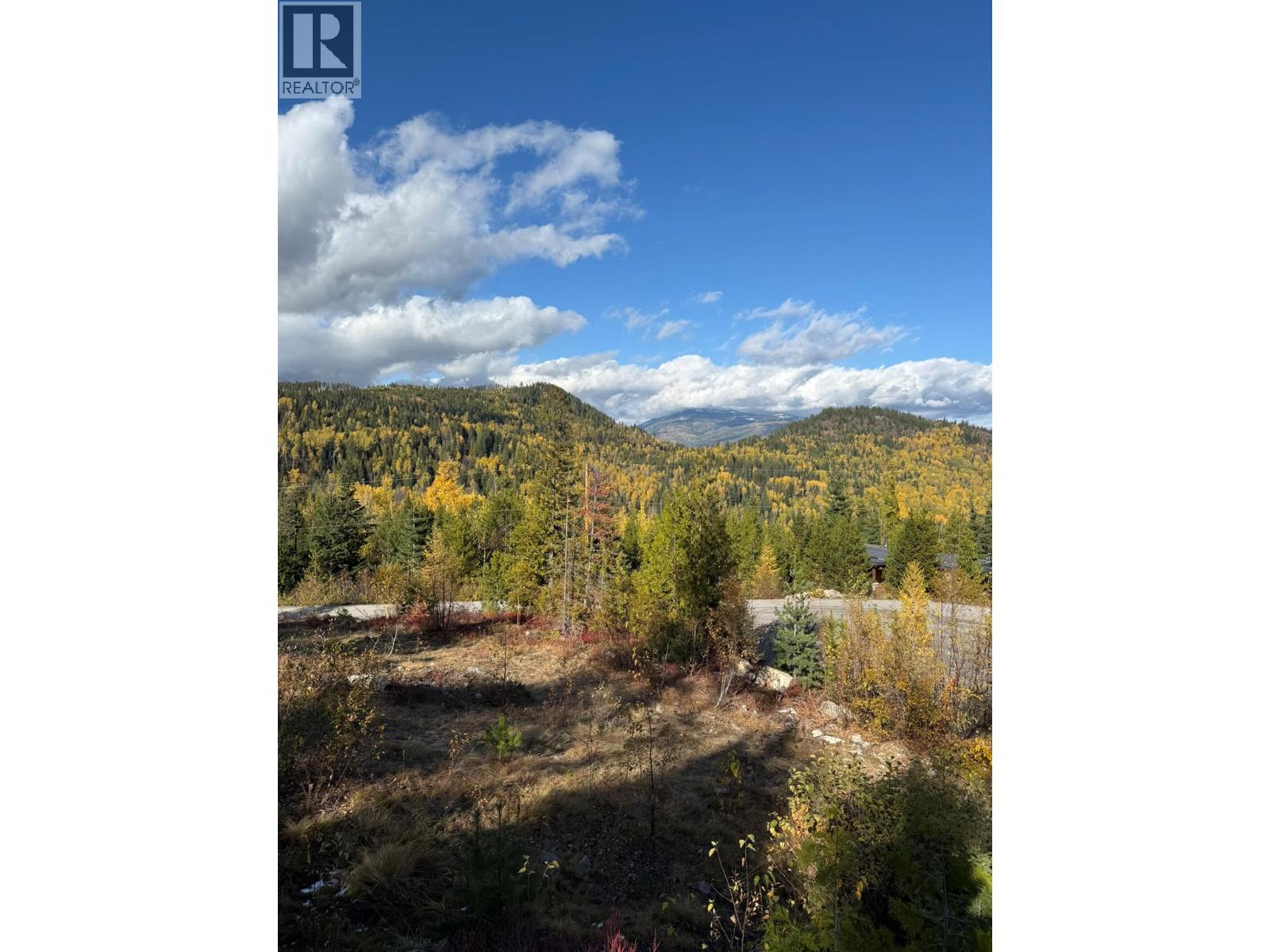Lot C Richie Road, Rossland, British Columbia  V0G 1Y0 - Photo 38 - 10366346