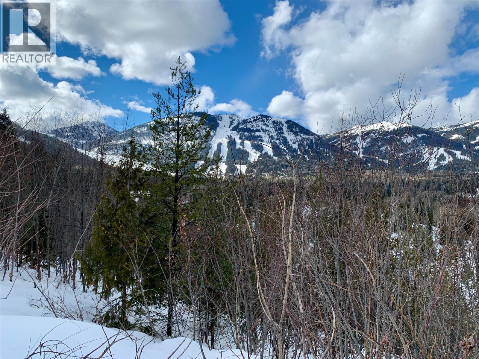 311 Richie Road, Rossland, British Columbia  V0G 1Y0 - Photo 20 - 10366339