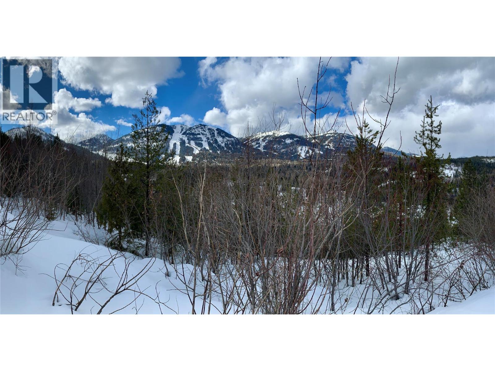 311 Richie Road, Rossland, British Columbia  V0G 1Y0 - Photo 21 - 10366339