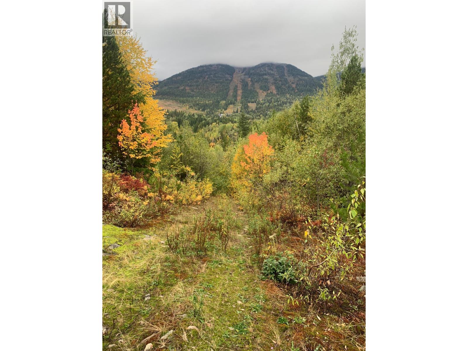 311 Richie Road, Rossland, British Columbia  V0G 1Y0 - Photo 23 - 10366339