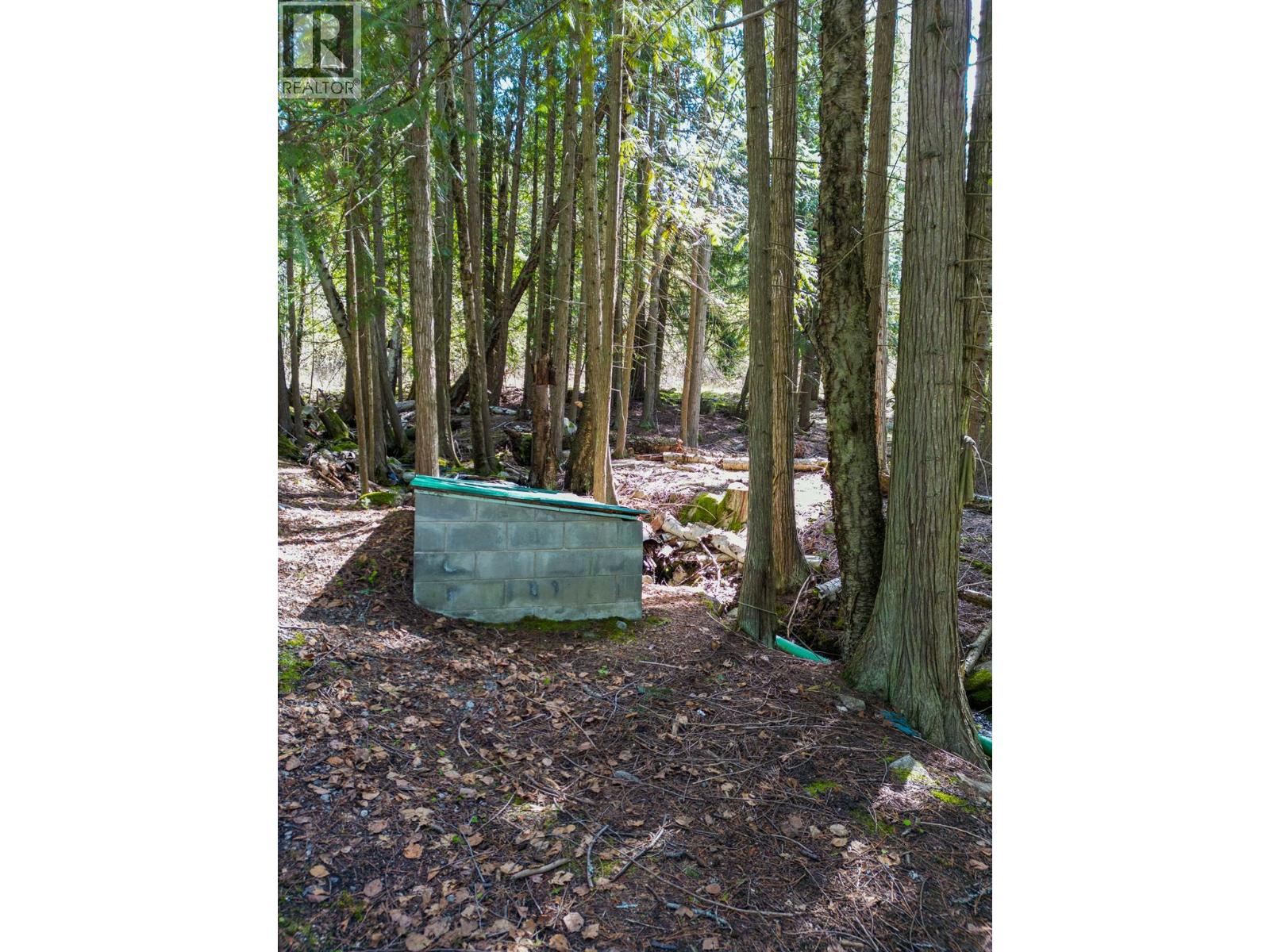 11110 3a Highway, Sanca, British Columbia  V0B 1A2 - Photo 44 - 10366379